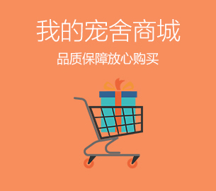 案例：寵舍網建設優(yōu)化